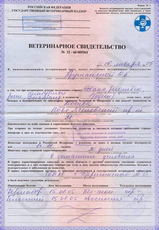 Ветеринарные справки по форме №1 Ветеринарные справки по форме №1