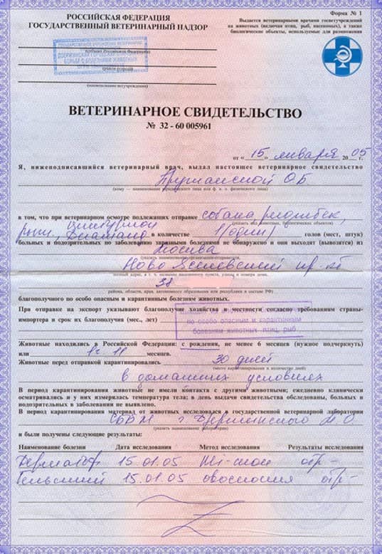 veterinarnaya-spravka-formy-f-1 veterinarnaya-spravka-formy-f-1